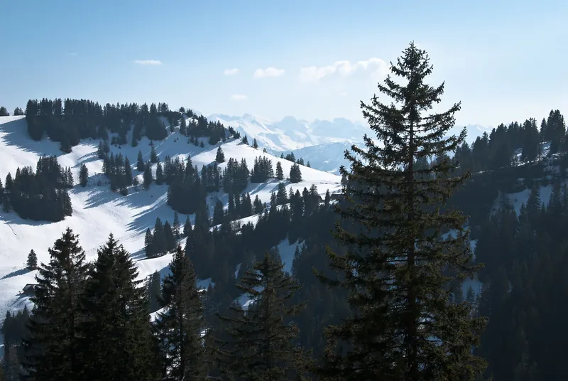 Mt. Rigi