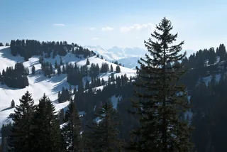 Mt. Rigi