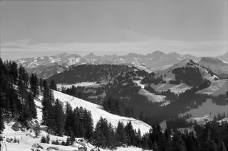 Rigi, winter landscapes (29.01.1991)