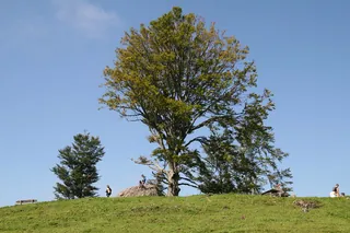 Rigi_Kulm_22