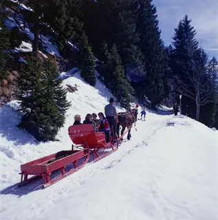 Rigi, Horse-Drawn Sleigh (1978)