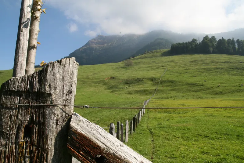 Rigi_Kulm_103