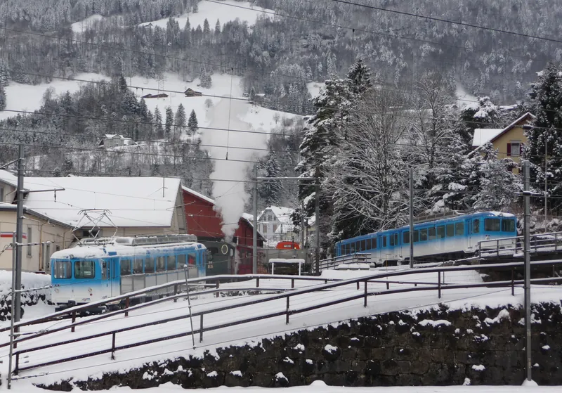 Vitznau, Arth Goldau, special trip on the Rigi Railways (29.01.2010)
