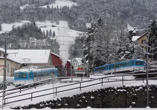 Vitznau, Arth Goldau, special trip on the Rigi Railways (29.01.2010)