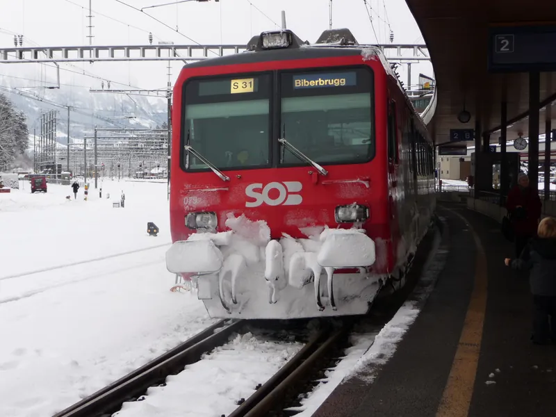 Vitznau, Arth Goldau, special trip on the Rigi Railways (29.01.2010)