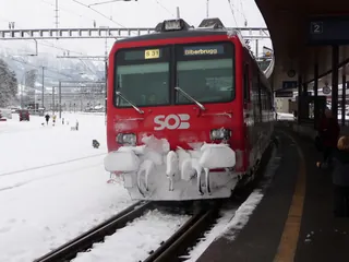 Vitznau, Arth Goldau, special trip on the Rigi Railways (29.01.2010)