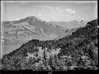 Rigi Seebodenalp, Panorama (approx. 1910)