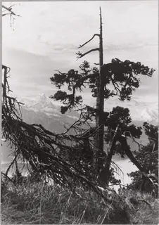 Rigi-Hochfluh (18.10.1952-19.10.1952)
