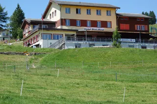 Rigi First Bärenstube (2022-07-19 13:55:21)