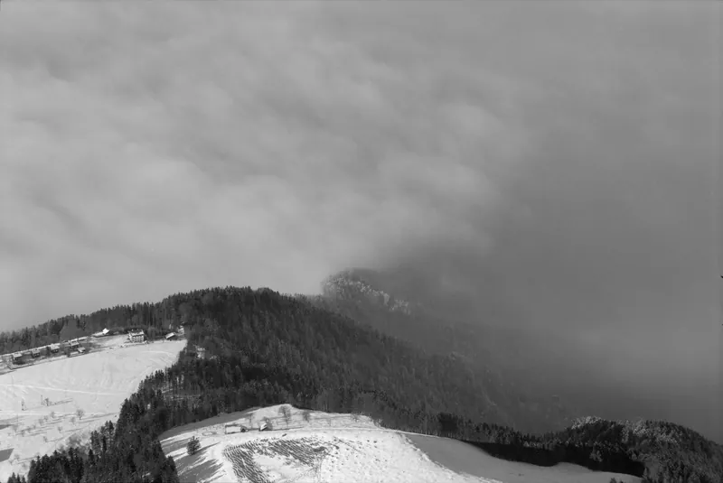 Rigi, winter landscapes (29.01.1991)