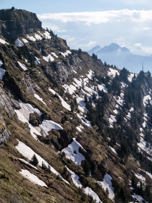 Rigi füdlibagge (8738324387) (2013-05-14 18:01)