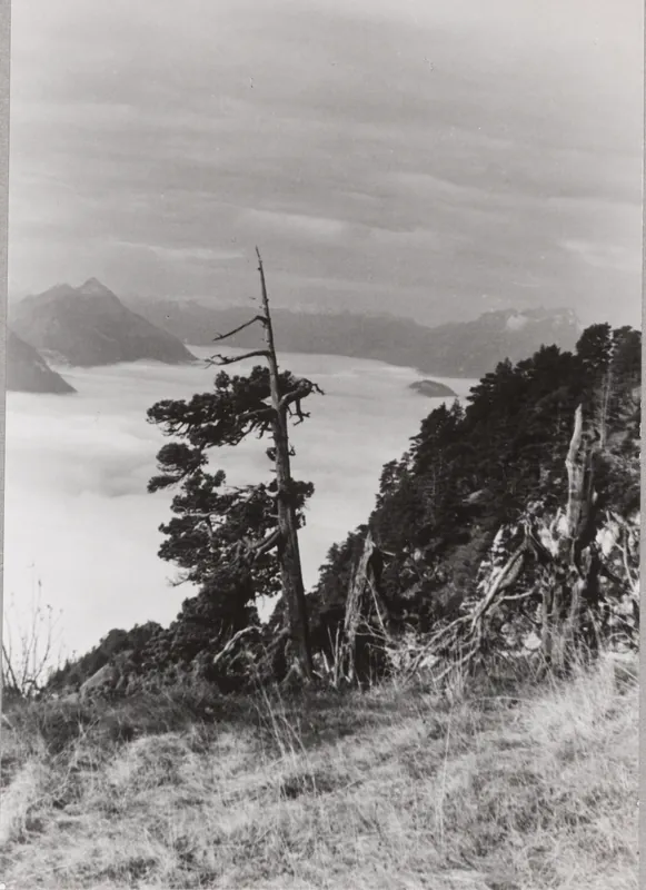 Rigi-Hochfluh (18.10.1952-19.10.1952)