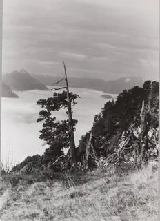 Rigi-Hochfluh (18.10.1952-19.10.1952)