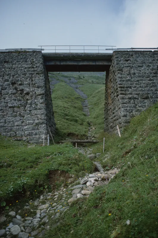 Route of the Rigi-Kaltbad-Scheidegg Railway (RSB) (8/1994)