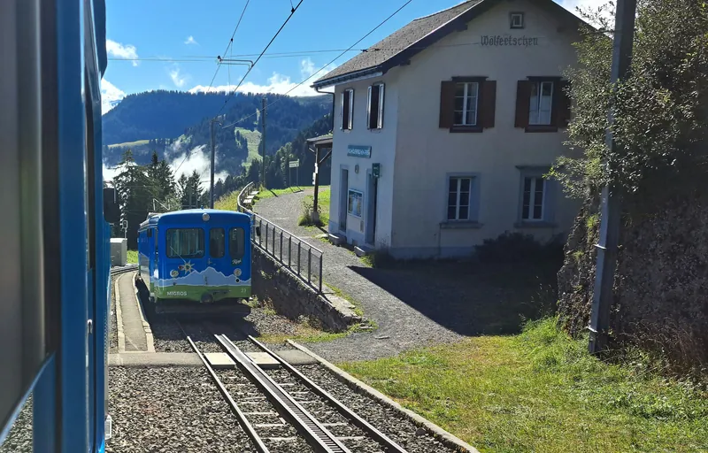 20240906.Arth-Rigi-Bahn.-032 (2024-09-06 10:39:29)