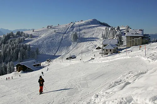 Picswiss SZ-29-33 (2005-12-30)