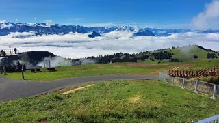 20240906.Rigi Kulm.-027 (2024-09-06 11:01:08)