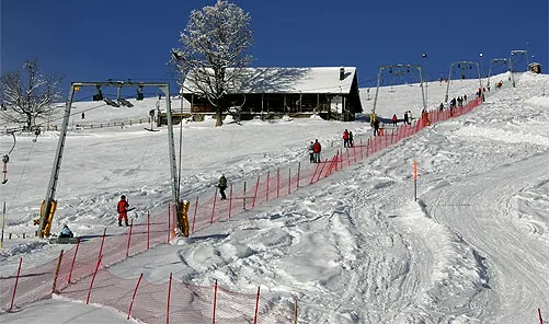 Picswiss SZ-29-56 (2005-12-30)