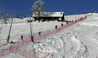 Picswiss SZ-29-56 (2005-12-30)