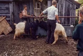 Rigi, Preparations for the Alpine Ascent (1975)