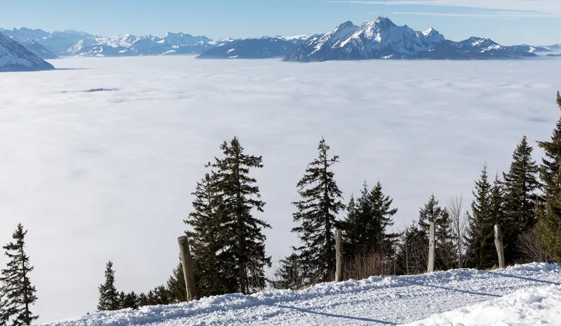 Nebelmeer und Pilatus (2017-01-26 11:53:59)