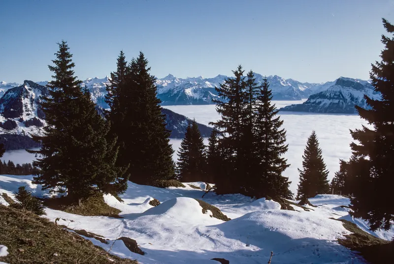 Rigi-Scheidegg, view towards Schärhorn (1991)
