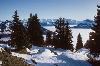 Rigi-Scheidegg, view towards Schärhorn (1991)