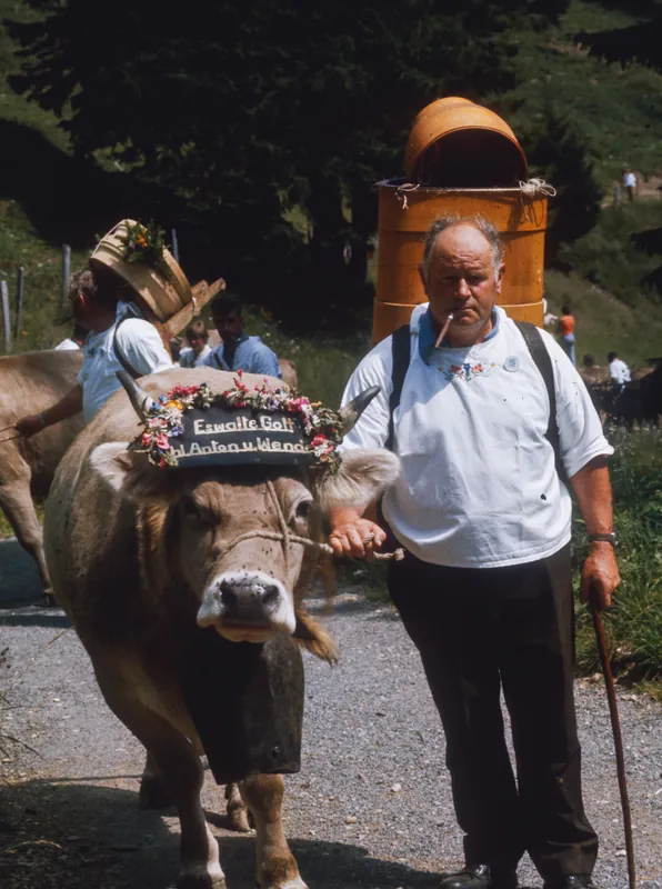 Rigi, alpine elevator (ca. 1974)