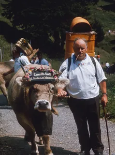 Rigi, alpine elevator (ca. 1974)