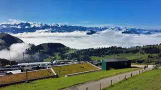 20240906.Arth-Rigi-Bahn.-048.3 (2024-09-06 10:55:22)