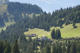Rack railway Arth-Goldau to Rigi-track-01ASD (2023-09-04)
