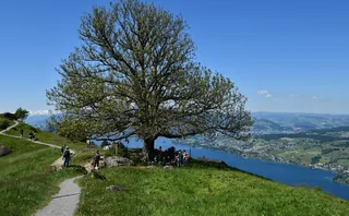 Seebodenalp01 (2021-05-30 11:44:04)