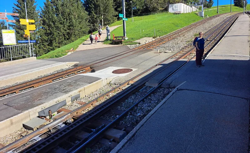 20240906.Arth-Rigi-Bahn.-036 (2024-09-06 10:42:32)