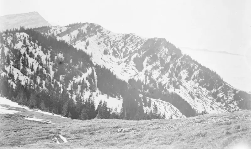 Ein Berghang mit der Rigi