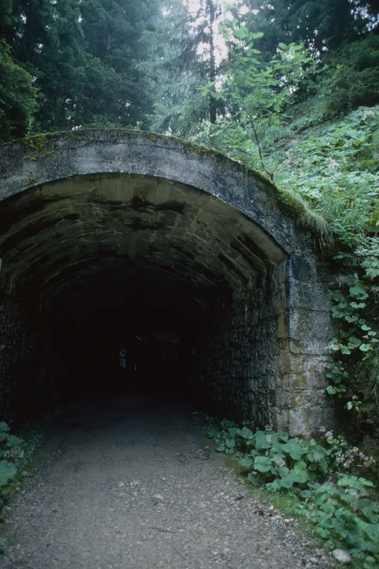 Wisstannegg tunnel of the Rigi-Scheidegg Railway (RSB) (8/1994)