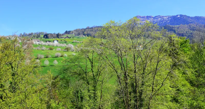Rigi im Frühling von Küssnacht aus (2020-04-15 16:05:23)