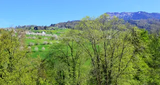 Rigi im Frühling von Küssnacht aus (2020-04-15 16:05:23)